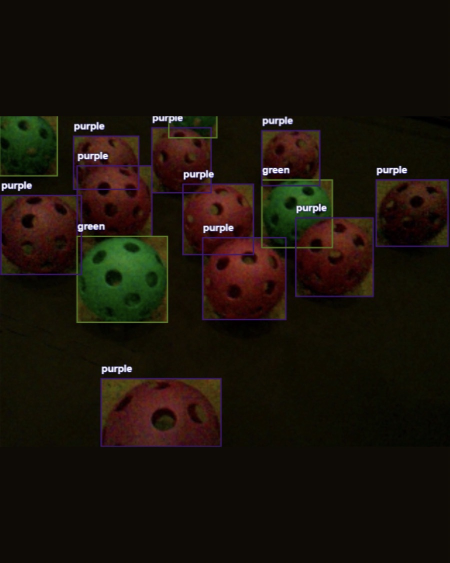 Detector output labelling each ball purple or green